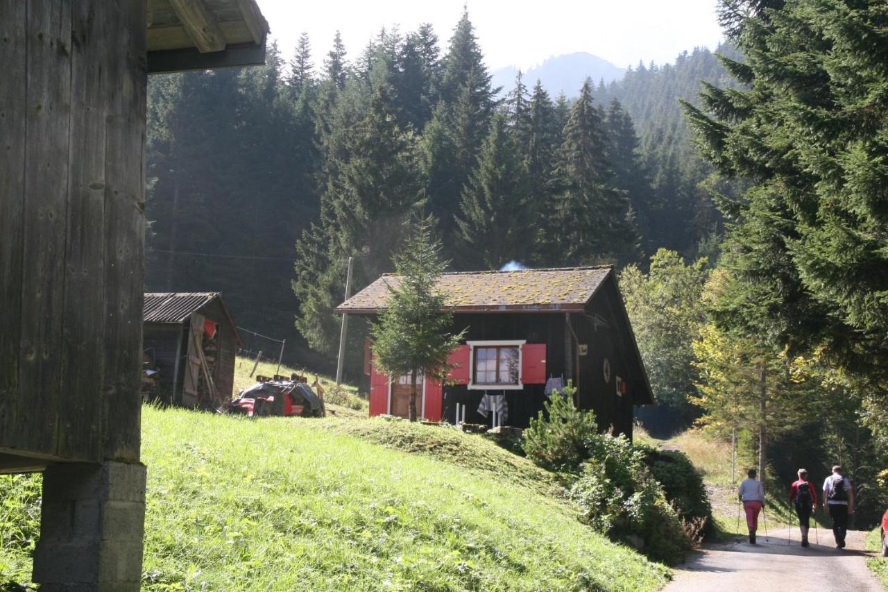 Heerlijke Wandel Of Ski Vakantie In Torgon Portes Du Soleil Luaran gambar